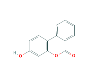 尿石素B