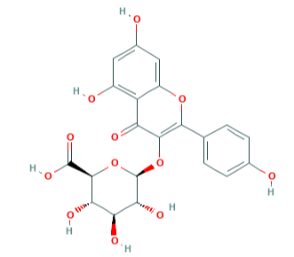 山奈酚葡萄糖醛酸苷