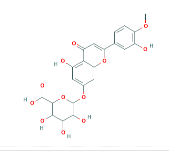 香叶木素 7-O-β-D-葡萄糖醛酸苷